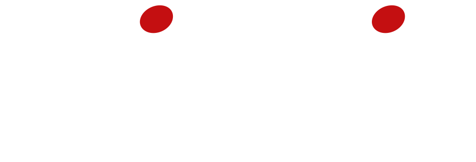 bizzit